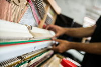 Пианино Petrof P118R1-0002 3 – techzone.com.ua Пианино Petrof P118R1-0002 3 – techzone.com.ua