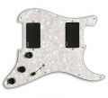 EMG KH21 Kirk Hammett 1 – techzone.com.ua