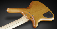 WARWICK RockBass Corvette Basic, 4-String (Honey Violin Transparent Satin) 5 – techzone.com.ua WARWICK RockBass Corvette Basic, 4-String (Honey Violin Transparent Satin) 5 – techzone.com.ua