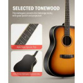 Donner Music Sunburst Acoustic Guitar EC1019 2 – techzone.com.ua