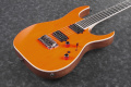 Електрогітара Ibanez RGR5221-TFR 2 – techzone.com.ua
