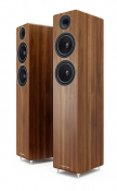 Підлогова акустика Acoustic Energy AE 309 Walnut wood veneer 1 – techzone.com.ua