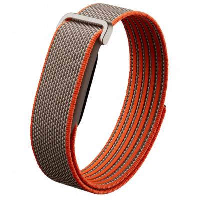 Фитнес-браслет Google Fitbit Air Rye – techzone.com.ua