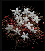 Kilian Dark Lord Парфумована вода унісекс 100 мл тестер (Refill) 2 – techzone.com.ua Kilian Dark Lord Парфумована вода унісекс 100 мл тестер (Refill) 2 – techzone.com.ua