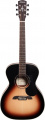 Акустична гітара з набіром аксесуарів Alvarez RF26SSBAGP 1 – techzone.com.ua