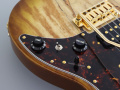 Електрогітара FGN EOS2-EW1-RM ODYSSEY EXPERT SERIES (Hojicha Burst) 5 – techzone.com.ua