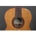 Классическая гитара Alhambra Iberia Ziricote BAG AL-0113 3 – techzone.com.ua