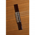 Классическая гитара Alhambra Iberia Ziricote BAG AL-0113 4 – techzone.com.ua
