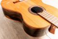 Классическая гитара Alhambra Iberia Ziricote BAG AL-0113 6 – techzone.com.ua
