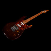 Електро гітара Godin Guitars Godin Session T-Pro Ltd Kanyon Burst MN 8 – techzone.com.ua