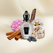 XerJoff Tony Iommi Monkey Special Парфумована вода унісекс 100 мл тестер 2 – techzone.com.ua XerJoff Tony Iommi Monkey Special Парфумована вода унісекс 100 мл тестер 2 – techzone.com.ua