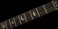 PRS SE Custom 24 Floyd (Charcoal Burst) 2023 10 – techzone.com.ua