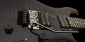 PRS SE Custom 24 Floyd (Charcoal Burst) 2023 12 – techzone.com.ua