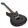 PRS SE Custom 24 Floyd (Charcoal Burst) 2023 2 – techzone.com.ua