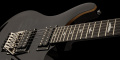 PRS SE Custom 24 Floyd (Charcoal Burst) 2023 9 – techzone.com.ua