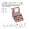 Шкатулка-кейс для украшений Friedrich Lederwaren Classico розовая | 23238-90 7 – techzone.com.ua