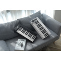 Складане цифрове піаніно (в комплекті з чохлом) Musicality PP61-BK _PortablePiano 11 – techzone.com.ua