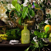 Gucci A Floral Verse Парфумована вода унісекс 100 мл 4 – techzone.com.ua Gucci A Floral Verse Парфумована вода унісекс 100 мл 4 – techzone.com.ua