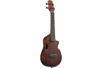 IBANEZ AUC14 OVL Укулеле 3 – techzone.com.ua IBANEZ AUC14 OVL Укулеле 3 – techzone.com.ua