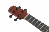 IBANEZ AUC14 OVL Укулеле 9 – techzone.com.ua IBANEZ AUC14 OVL Укулеле 9 – techzone.com.ua