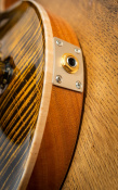 PRS Paul's Guitar 10-Top (Yellow Tiger) 0369896 6 – techzone.com.ua PRS Paul's Guitar 10-Top (Yellow Tiger) 0369896 6 – techzone.com.ua