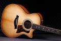 Гітара електроакустична TAYLOR GUITARS 314ce LTD 50TH ANNIVERSARY SHADED EDGE BURST 3 – techzone.com.ua