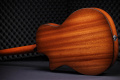 Гітара електроакустична TAYLOR GUITARS 314ce LTD 50TH ANNIVERSARY SHADED EDGE BURST 4 – techzone.com.ua