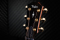 Гітара електроакустична TAYLOR GUITARS 314ce LTD 50TH ANNIVERSARY SHADED EDGE BURST 5 – techzone.com.ua