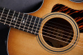 Гітара електроакустична TAYLOR GUITARS 314ce LTD 50TH ANNIVERSARY SHADED EDGE BURST 8 – techzone.com.ua