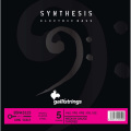 Струни для бас-гітари Gallistrings BSN45125 5 STRINGS MEDIUM - TAPERED 1 – techzone.com.ua