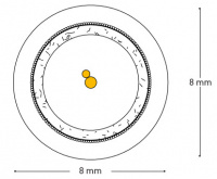 Межкомпонентный кабель QED PERFORMANCE AUDIO 40i 0.6M (QE6111) 2 – techzone.com.ua Межкомпонентный кабель QED PERFORMANCE AUDIO 40i 0.6M (QE6111) 2 – techzone.com.ua