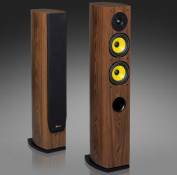 Напольная акустика Davis HAVALON HD 4 – techzone.com.ua Напольная акустика Davis HAVALON HD 4 – techzone.com.ua