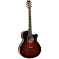 TANGLEWOOD TW4 CE AVB 1 – techzone.com.ua