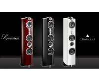 Акустическая система Triangle Signature Delta White Piano Lacquer 3 – techzone.com.ua Акустическая система Triangle Signature Delta White Piano Lacquer 3 – techzone.com.ua