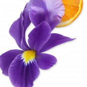 Parfums de Marly Athalia Парфумована вода для жінок 75 мл 4 – techzone.com.ua