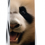 Складной нож Victorinox FISHERMAN ANIMAL Панда 1.4733.7.F1110pw 3 – techzone.com.ua Складной нож Victorinox FISHERMAN ANIMAL Панда 1.4733.7.F1110pw 3 – techzone.com.ua