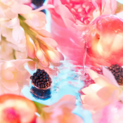 Roja Elysium Pour Femme Парфумована вода для жінок 75 мл 4 – techzone.com.ua Roja Elysium Pour Femme Парфумована вода для жінок 75 мл 4 – techzone.com.ua