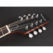 Банджо Richwood RMBM-408 3 – techzone.com.ua Банджо Richwood RMBM-408 3 – techzone.com.ua