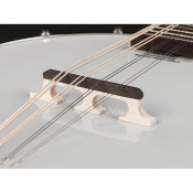 Банджо Richwood RMBM-408 6 – techzone.com.ua Банджо Richwood RMBM-408 6 – techzone.com.ua