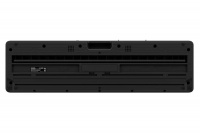Синтезатор цифровой CASIO LK-S450C7 4 – techzone.com.ua Синтезатор цифровой CASIO LK-S450C7 4 – techzone.com.ua