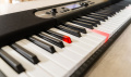 Синтезатор цифровий CASIO LK-S450C7 6 – techzone.com.ua