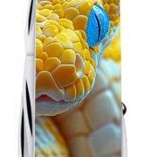 Складаний ніж Victorinox MOUNTAINEER ANIMAL Змій 1.3743.7.F1050pw 3 – techzone.com.ua Складаний ніж Victorinox MOUNTAINEER ANIMAL Змій 1.3743.7.F1050pw 3 – techzone.com.ua