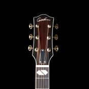 Електро гітара Godin Guitars Godin Connaisseur MJ Blk RW 5 – techzone.com.ua