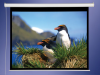 Проекційний екран AV Screen 3V106MEH Matte White 3 – techzone.com.ua Проекційний екран AV Screen 3V106MEH Matte White 3 – techzone.com.ua