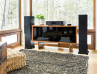 Акустична система PSB Alpha T20 Black Ash 4 – techzone.com.ua Акустична система PSB Alpha T20 Black Ash 4 – techzone.com.ua
