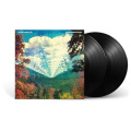 Вінілова платівка Tame Impala - Innerspeaker [2LP] 2 – techzone.com.ua