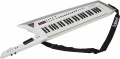 Синтезатор Roland AXEDGE White 3 – techzone.com.ua