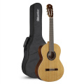 Классическая гитара Alhambra 1C BAG AL-0114 2 – techzone.com.ua