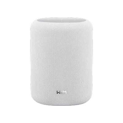 Смарт-колонка WiiM Sound Lite White – techzone.com.ua