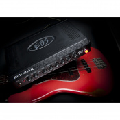 Усилитель басовый EBS Reidmar 250 6 – techzone.com.ua Усилитель басовый EBS Reidmar 250 6 – techzone.com.ua